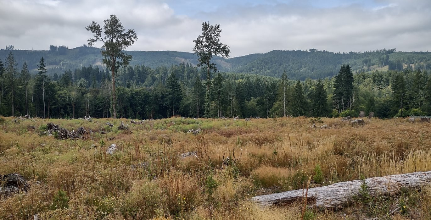 881 IMG 20250804 104937922 HDR