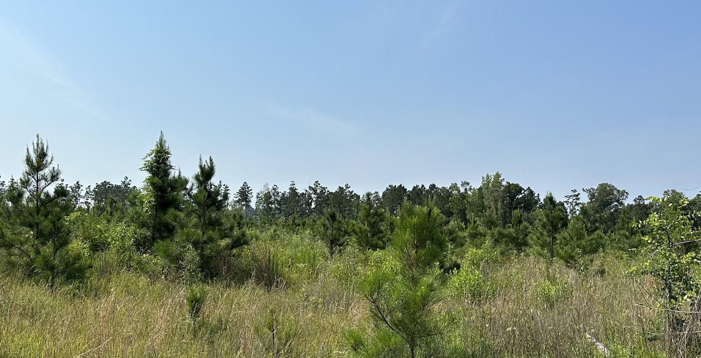 882 IMG 2744 3520