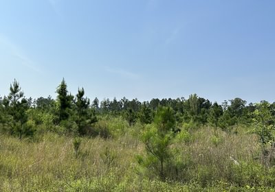 882 IMG 2744 3520