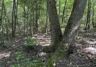 882 IMG 5972