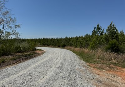 882 IMG 7233