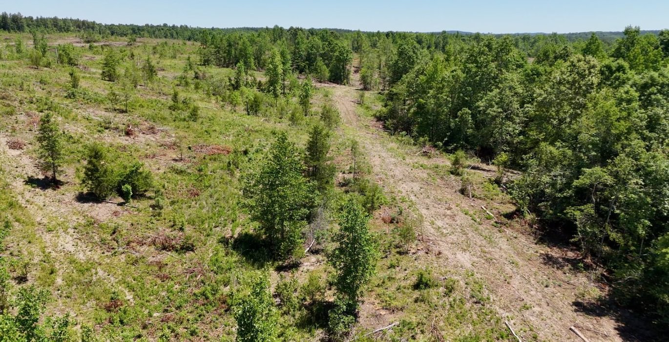 883 AFM Big Mountain Creek Photo 20