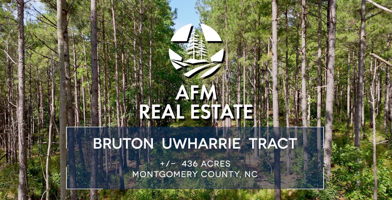 884 AFM Bruton Uwharrie Tract Shaw Thumbnail