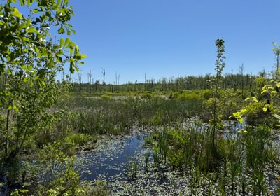 885 IMG 7363