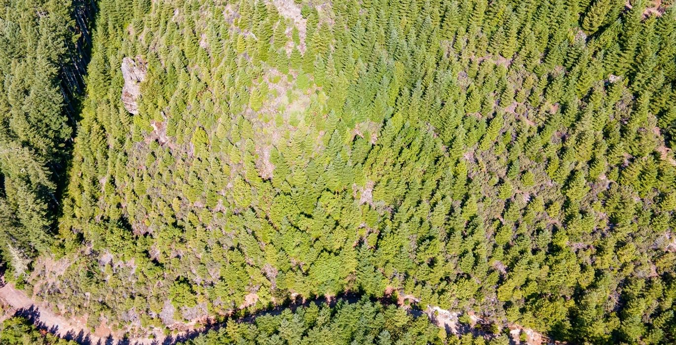 887 DJI 0841 HDR25