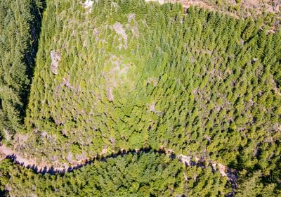 887 DJI 0841 HDR25