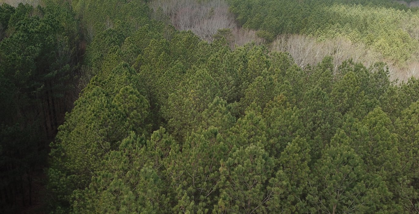 887 DJI 0116