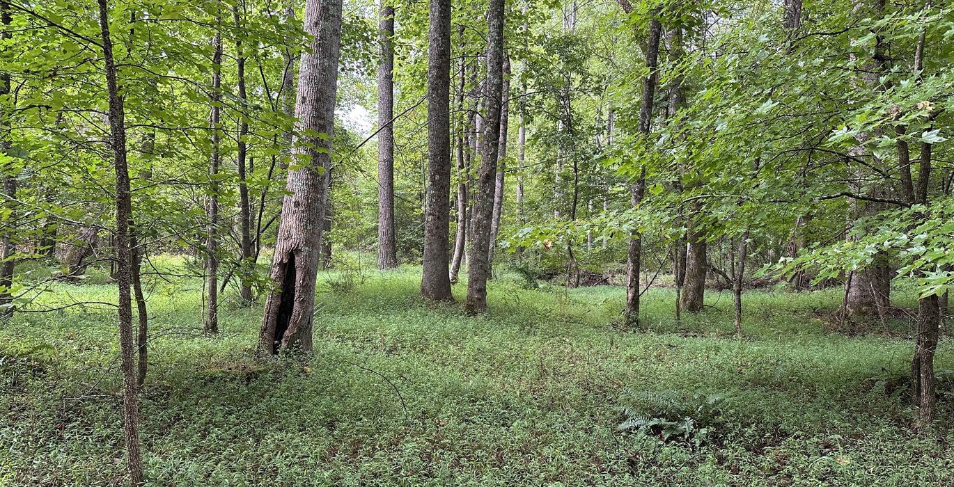 887 IMG 7212