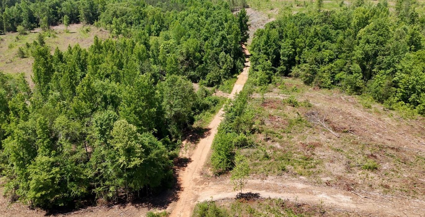 888 AFM Big Mountain Creek Photo 9