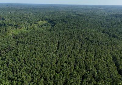 888 Enoree Creek Photo 4