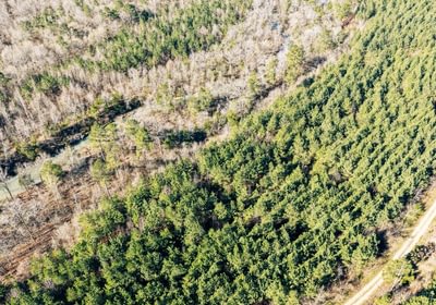 889 DJI 20260316095156 0007 D Medium