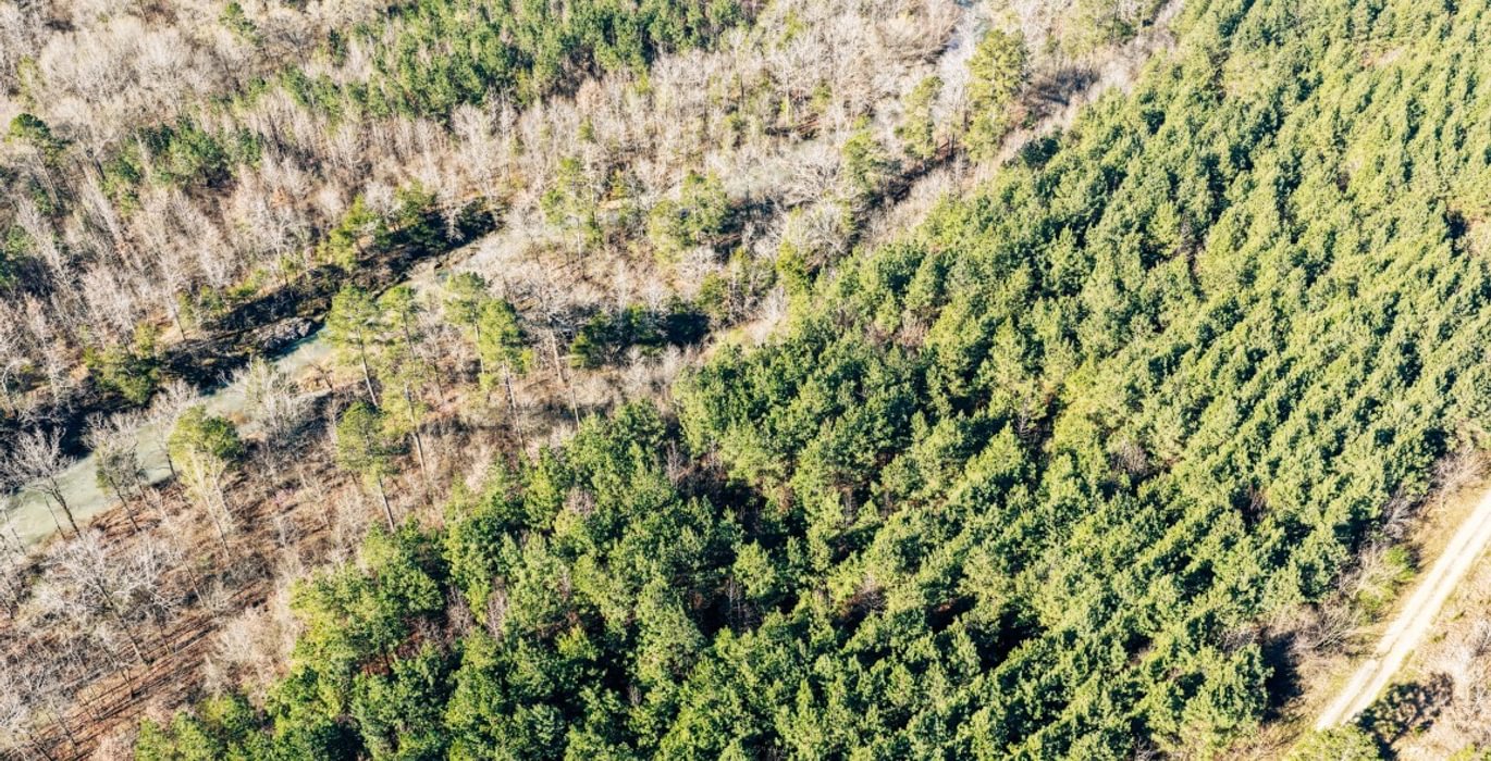 889 DJI 20260316095156 0007 D Medium