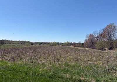 889 IMG 7992