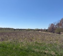 889 IMG 7992