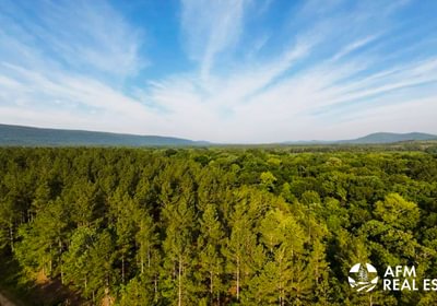 88 DJI 20241016140643 0063 D