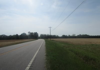 88 IMG 0720