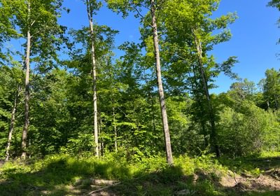 88 county line 2