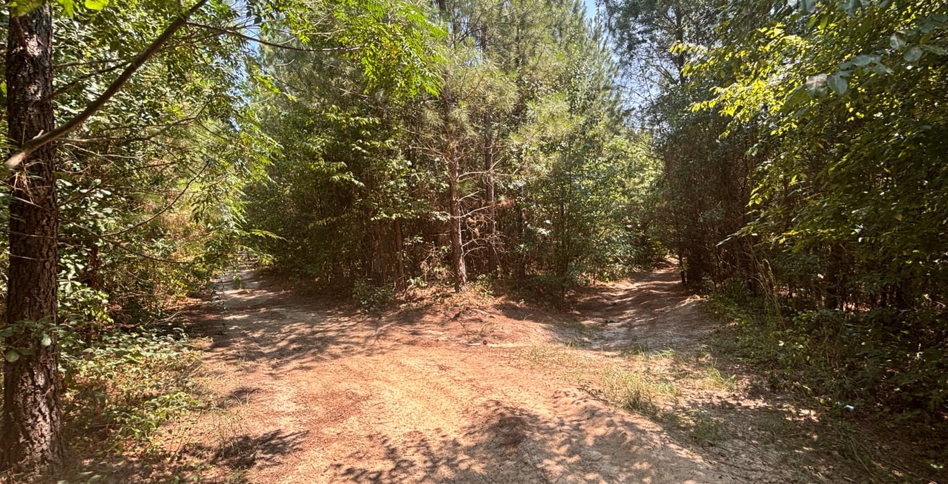 891 IMG 7386