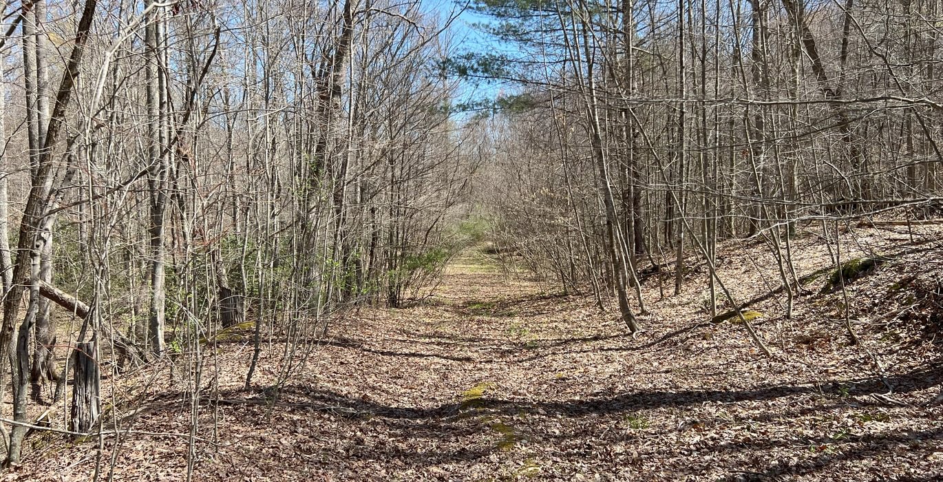 891 Trail