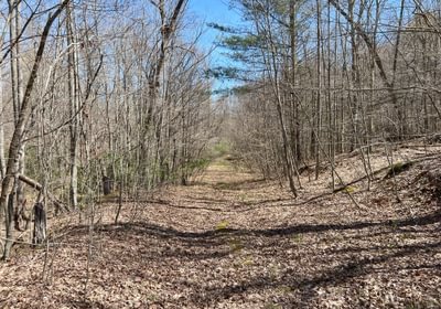891 Trail