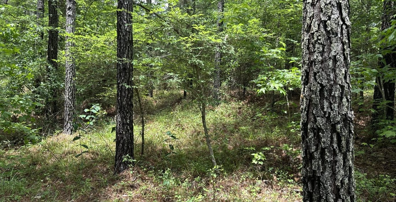 892 IMG 1748