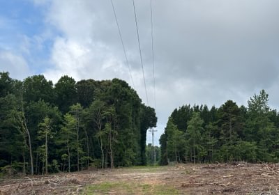 894 IMG 5187