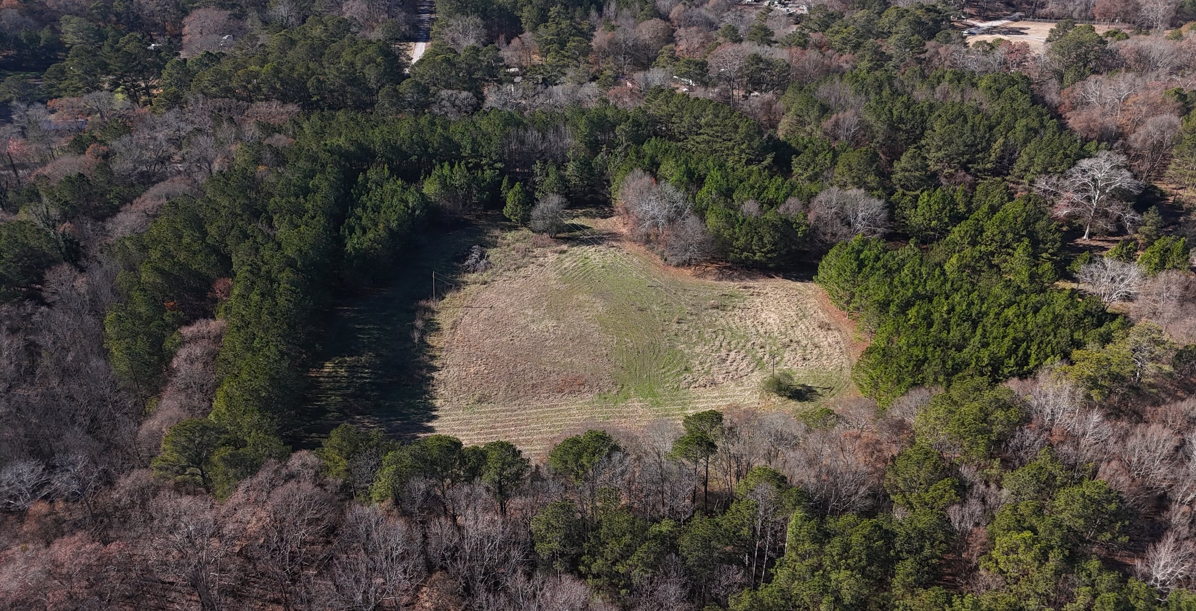 Photo 3 of Paradise Farms, 46.84 acres, Henry County, Georgia