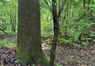 895 IMG 1488