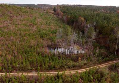 897 AFM Crump Farm Photo 22