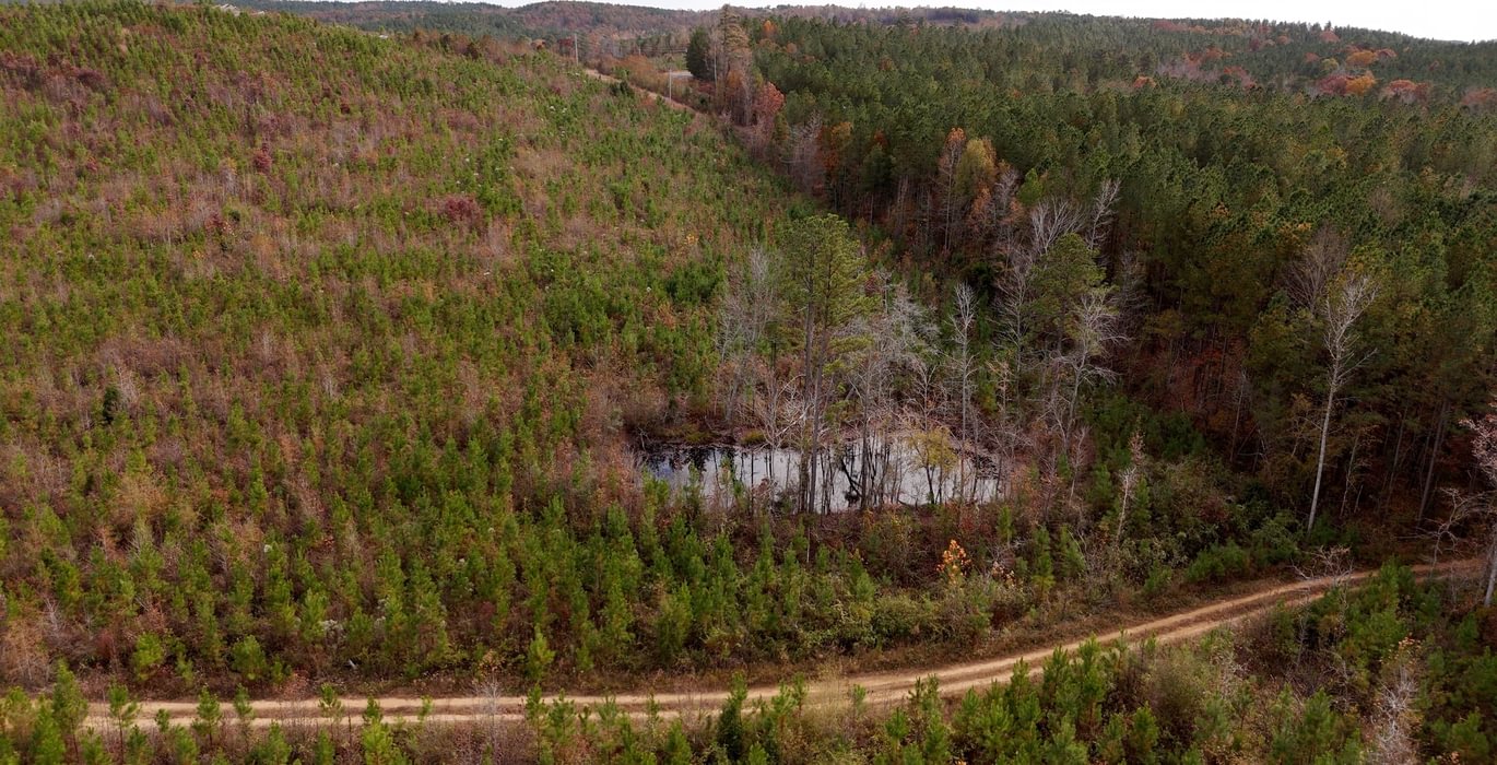 897 AFM Crump Farm Photo 22