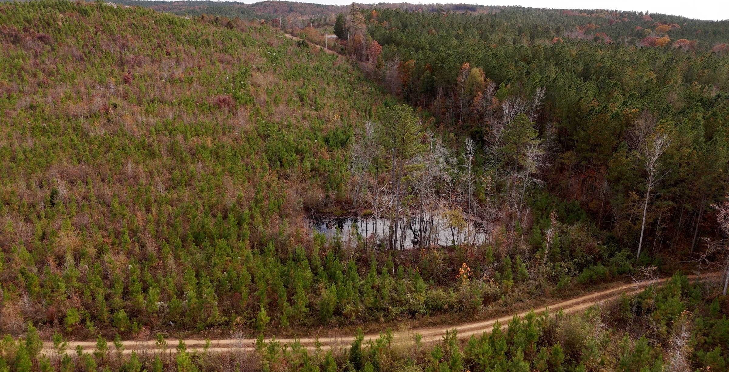 897 AFM Crump Farm Photo 22