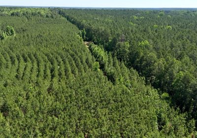 898 Horton Tract Photo 6