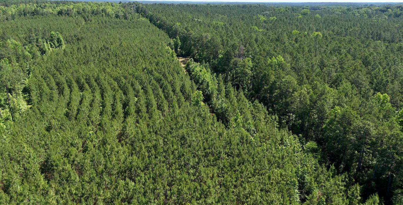 898 Horton Tract Photo 6