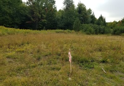 898 Pin at end of Beaver Lane in opening 2