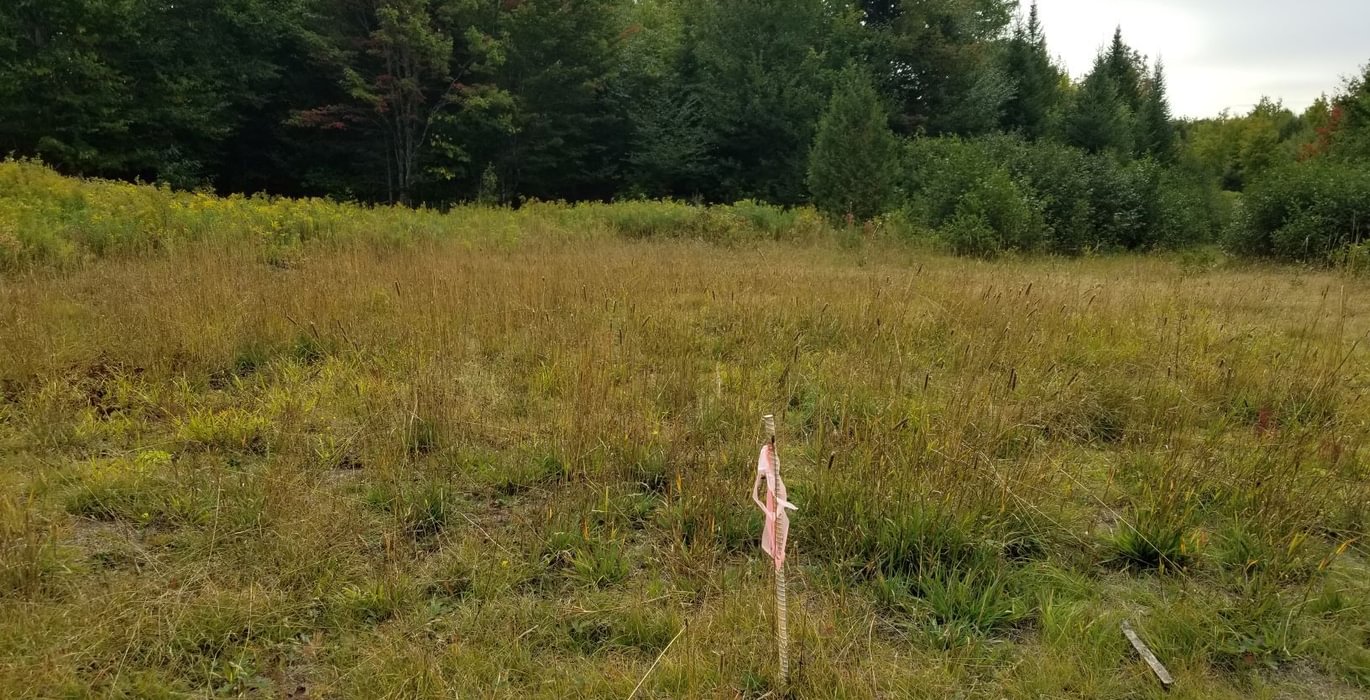 898 Pin at end of Beaver Lane in opening 2