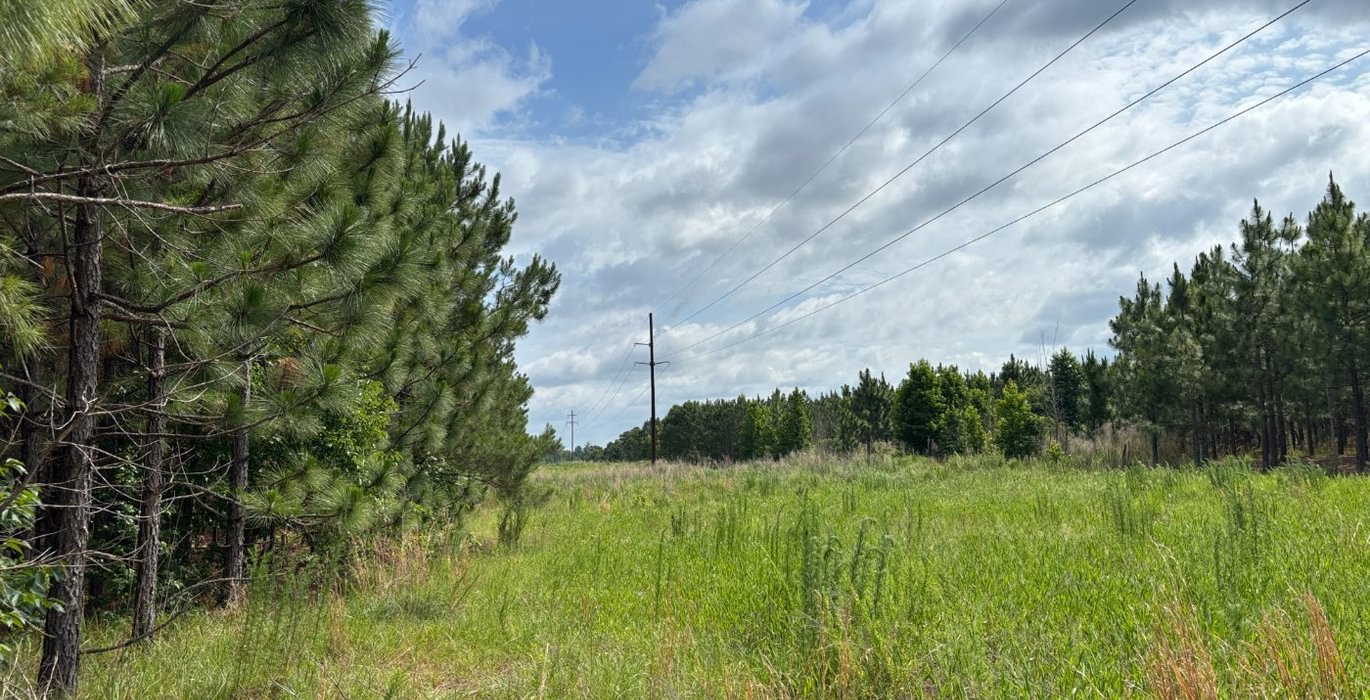89 IMG 6879