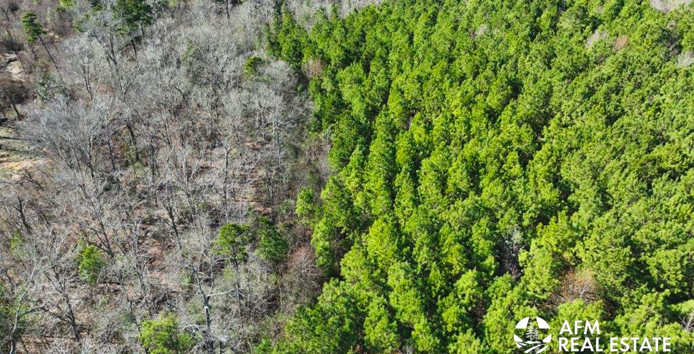 93 DJI 20250201142951 0030 V