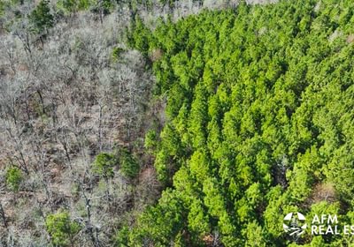 93 DJI 20250201142951 0030 V