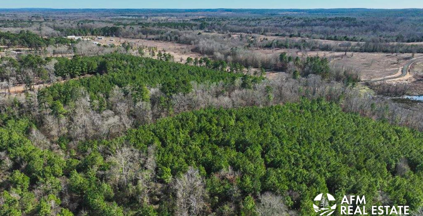 93 DJI 20250201143112 0034 V