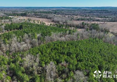 93 DJI 20250201143112 0034 V