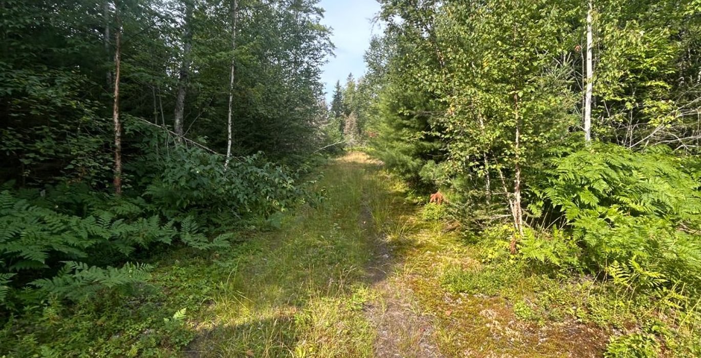 93 IMG 3127