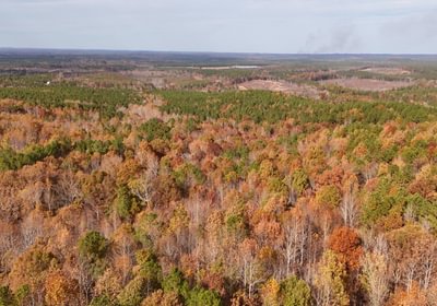 900 AFM Crump Farm Photo 28