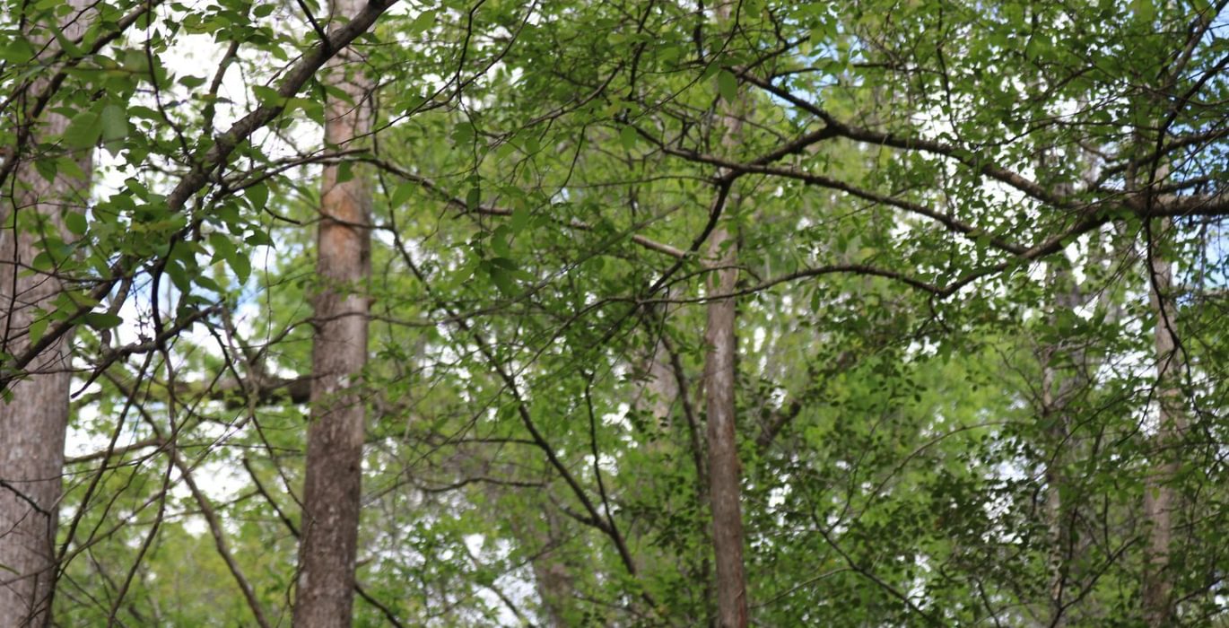 900 IMG 3653