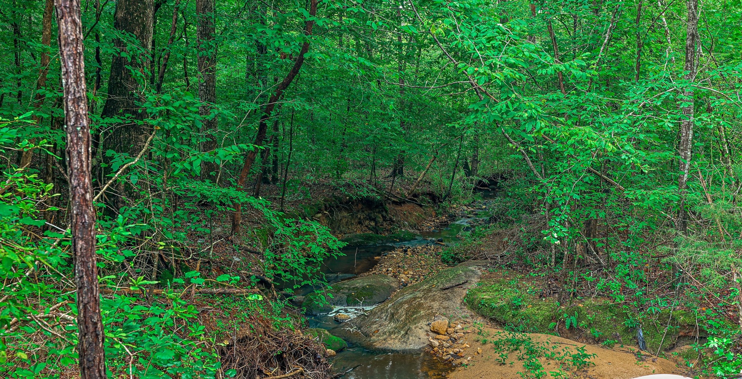 Photo 7 of Rush Creek Farms at Texas Chapel, 310.73 acres, Putnam County, Georgia