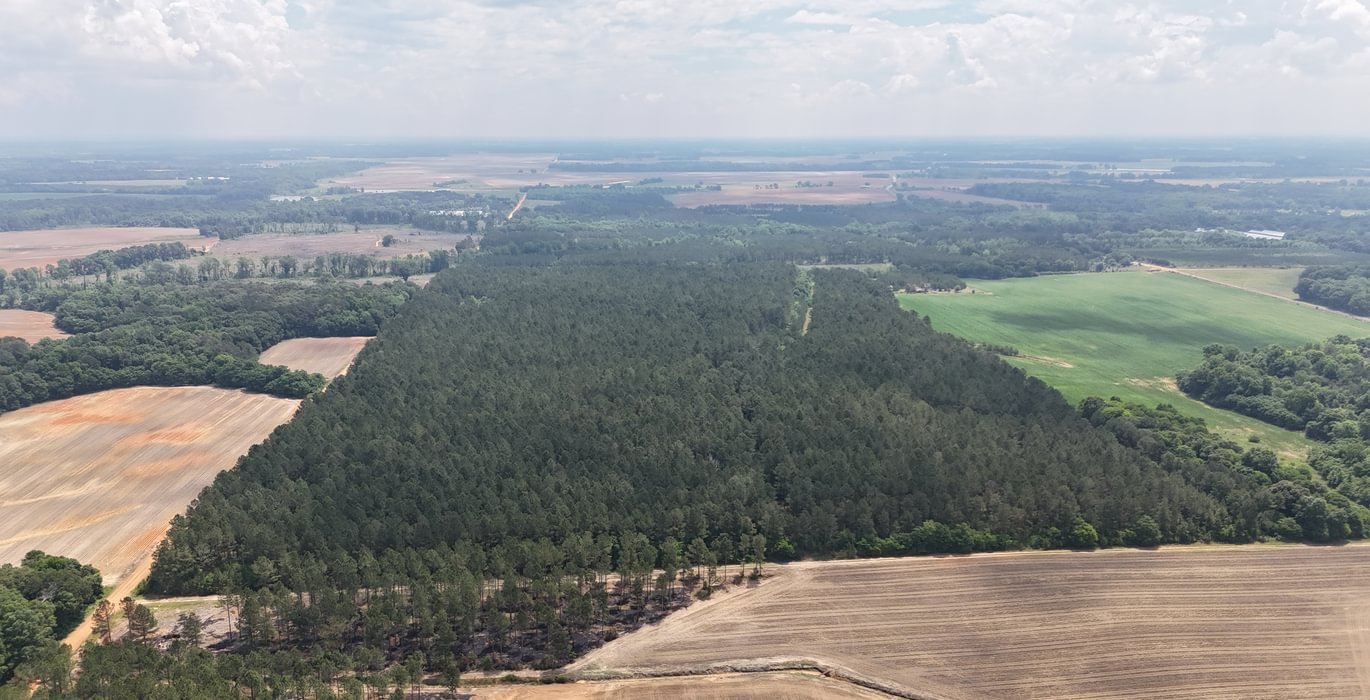 903 DJI 20250508122846 0022 D