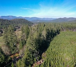 903 Photo Dec 04 2025 10 11 21 PM 22