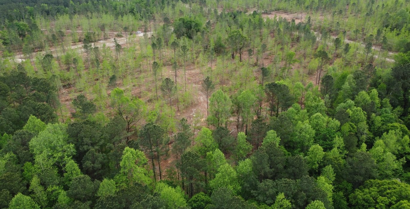 903 dji fly 20260407 145712 220 1775588333286 photo optimized