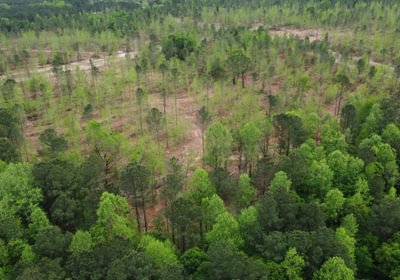 903 dji fly 20260407 145712 220 1775588333286 photo optimized