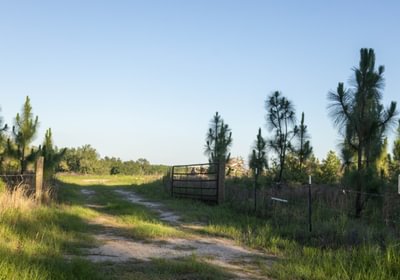 905 5 Q9 A0780