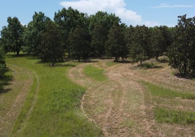 905 DJI 0937